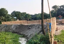 কুষ্টিয়ার ভেড়ামারায় মাছ চাষের জন্য ইজারা, লেক ভরাট করে পার্ক নির্মাণের অভিযোগ